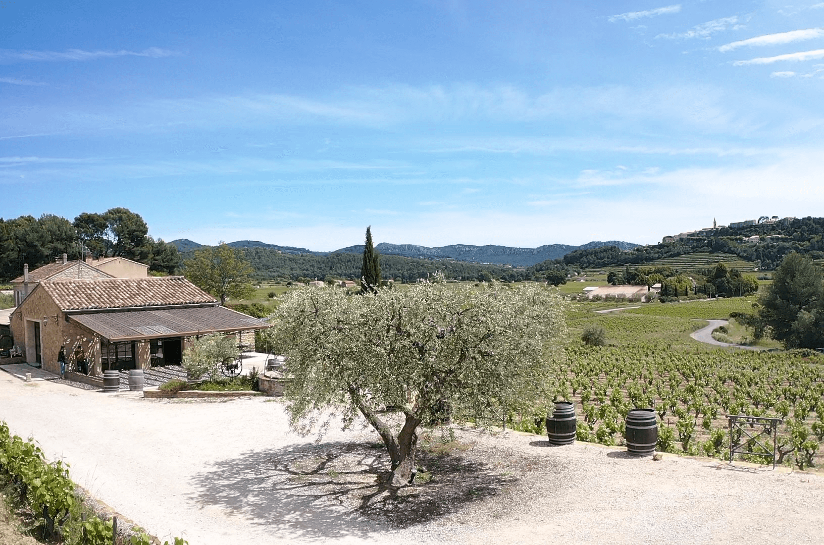 maison-des-vins-a-bandol-1.jpg