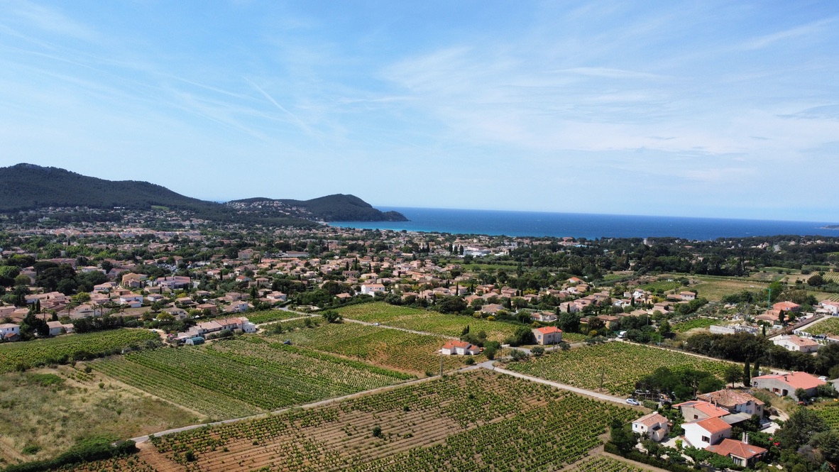 maison-des-vins-a-bandol-2.jpg