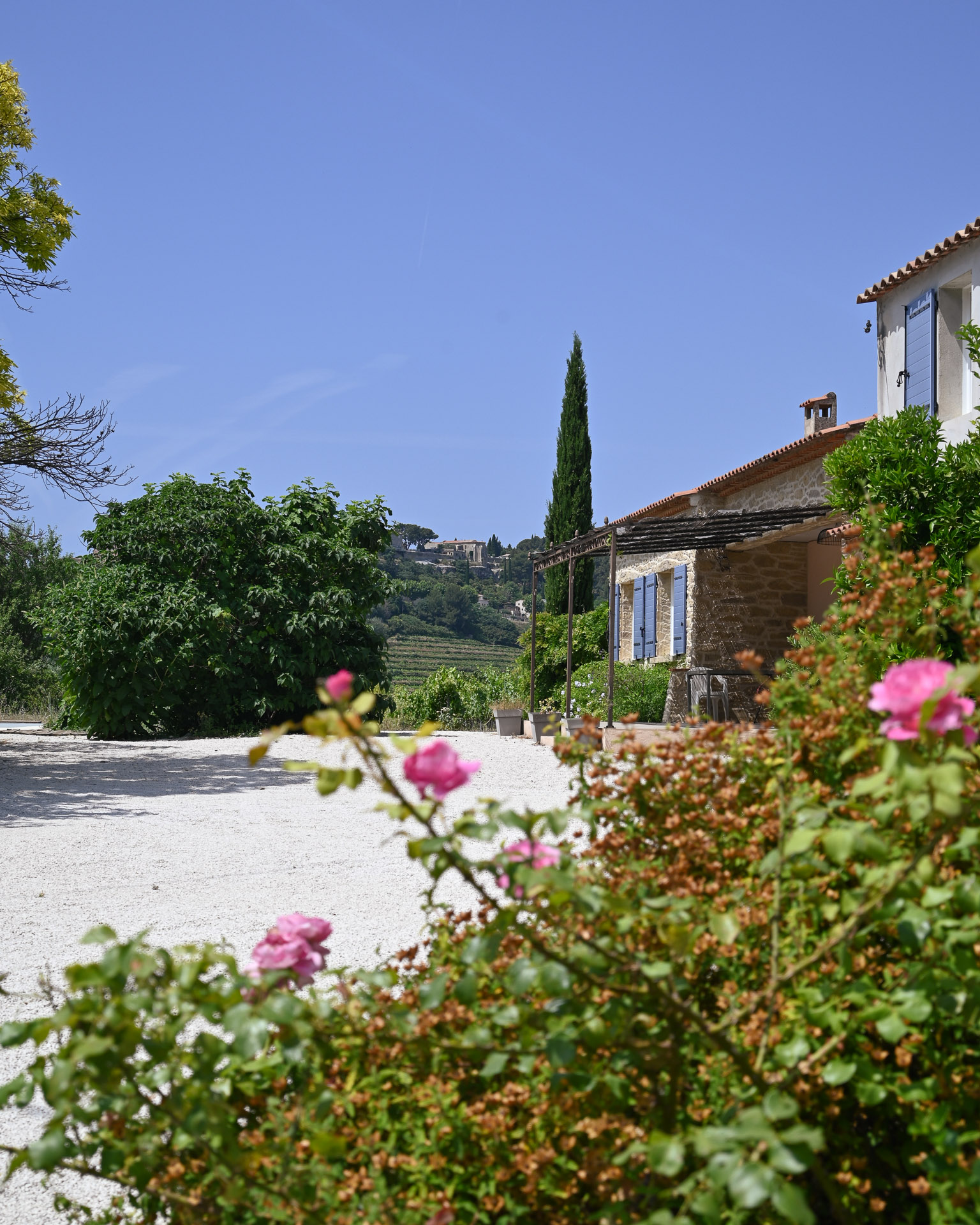 maison-des-vins-a-bandol-1.jpg