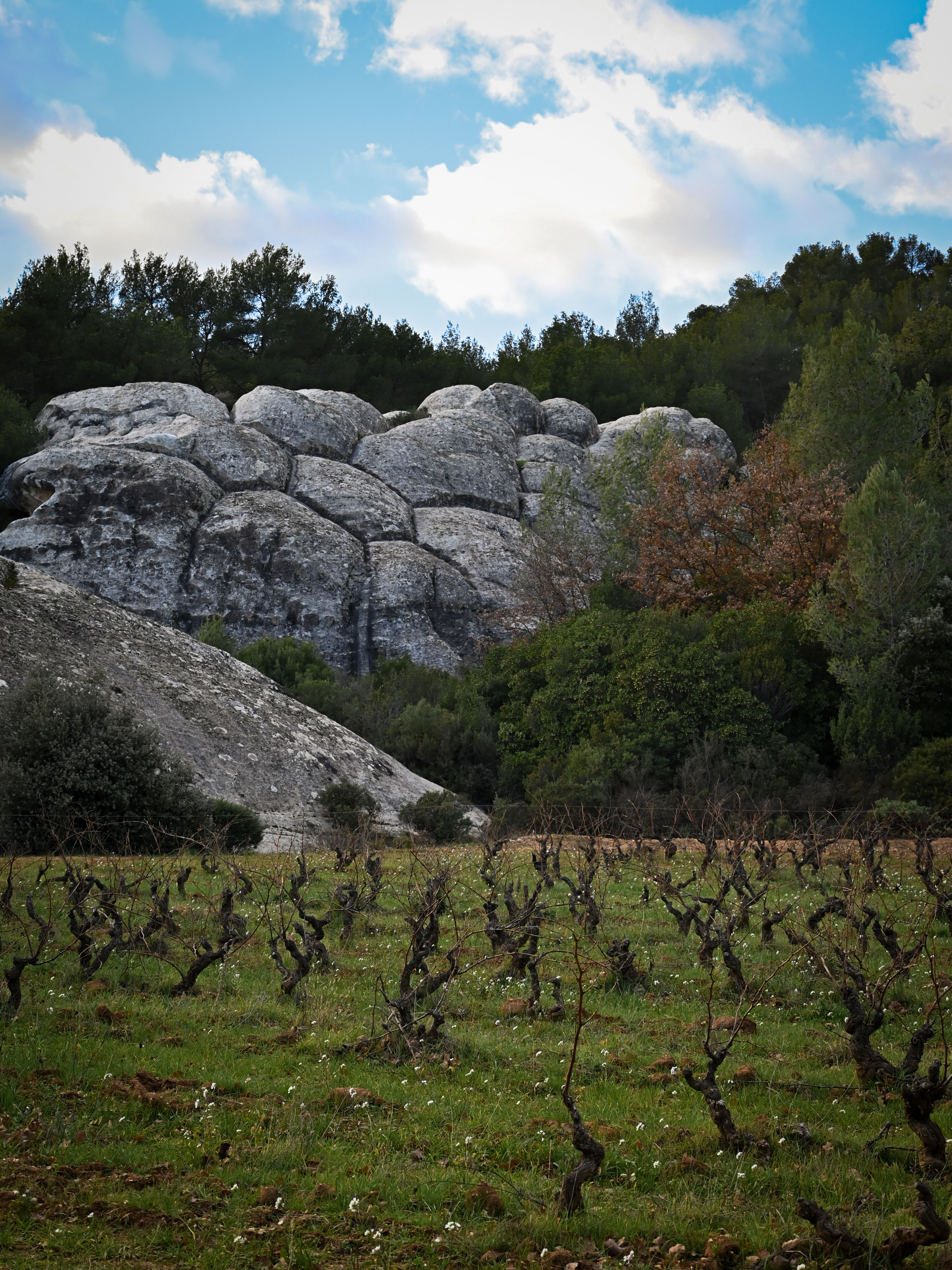 maison-des-vins-a-bandol-3-.jpg