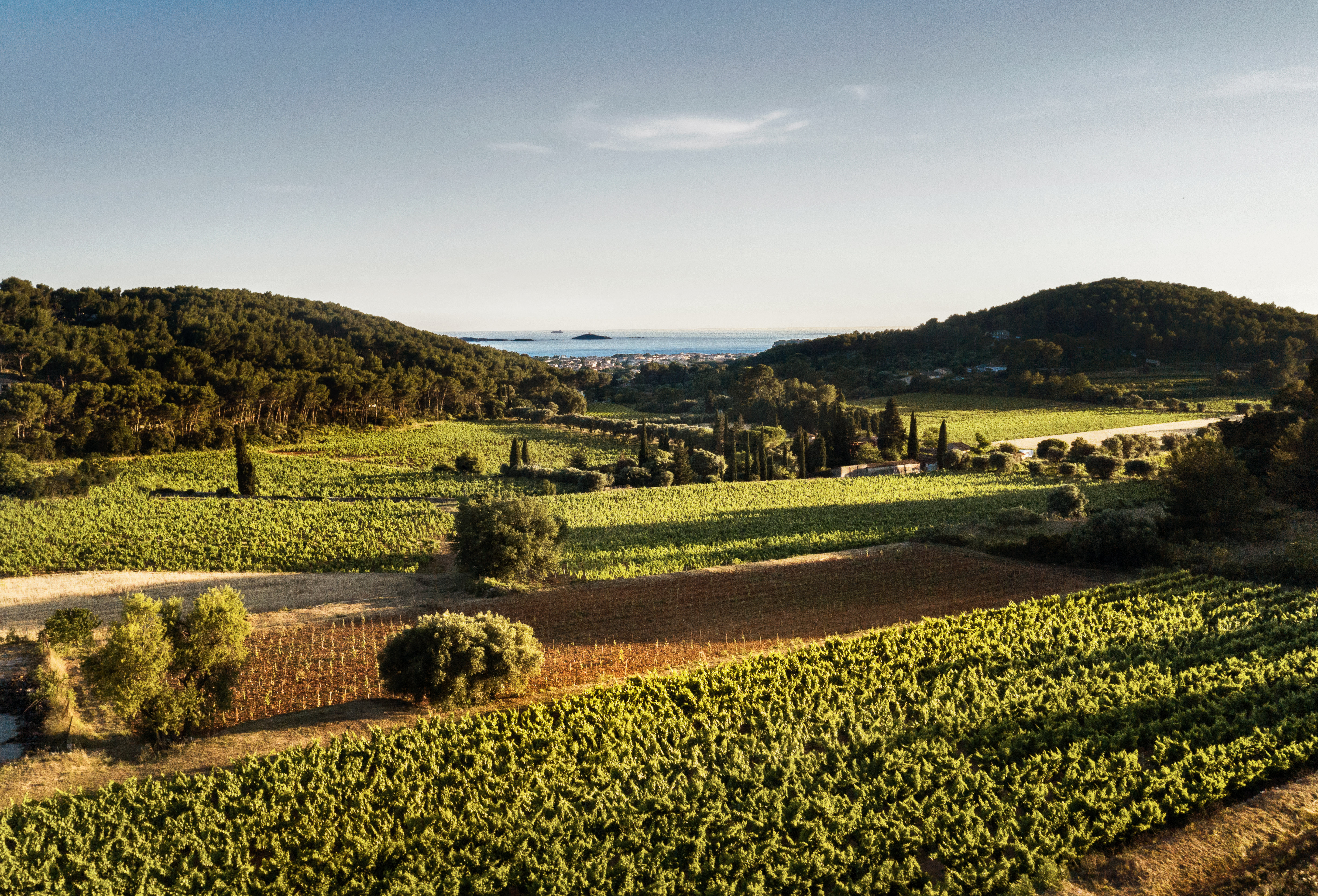 maison-des-vins-a-bandol-1.jpg