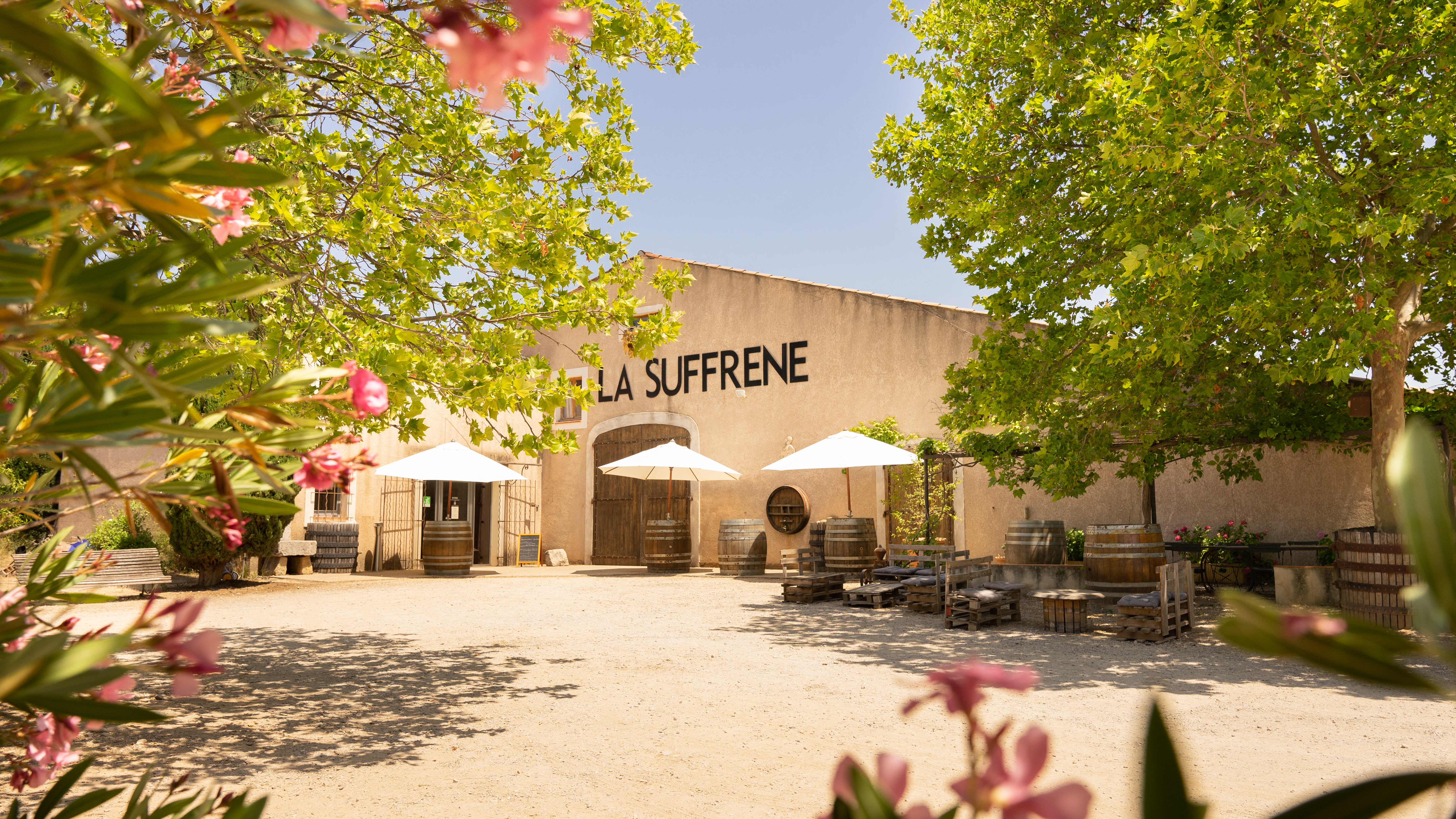 maison-des-vins-a-bandol-1.jpg