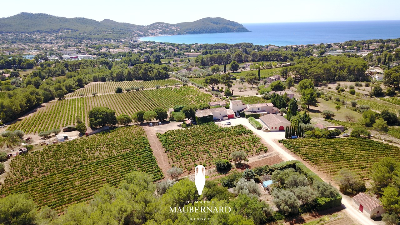 maison-des-vins-a-bandol-1.jpg