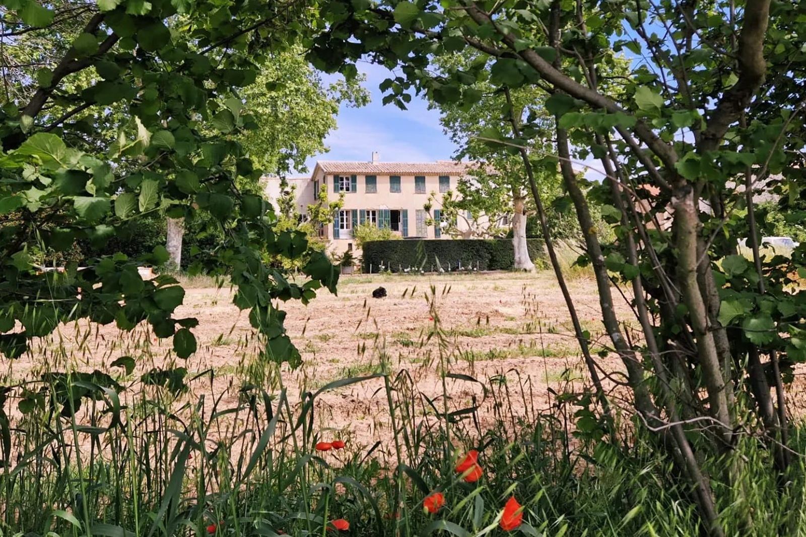 maison-des-vins-a-bandol-1.jpg