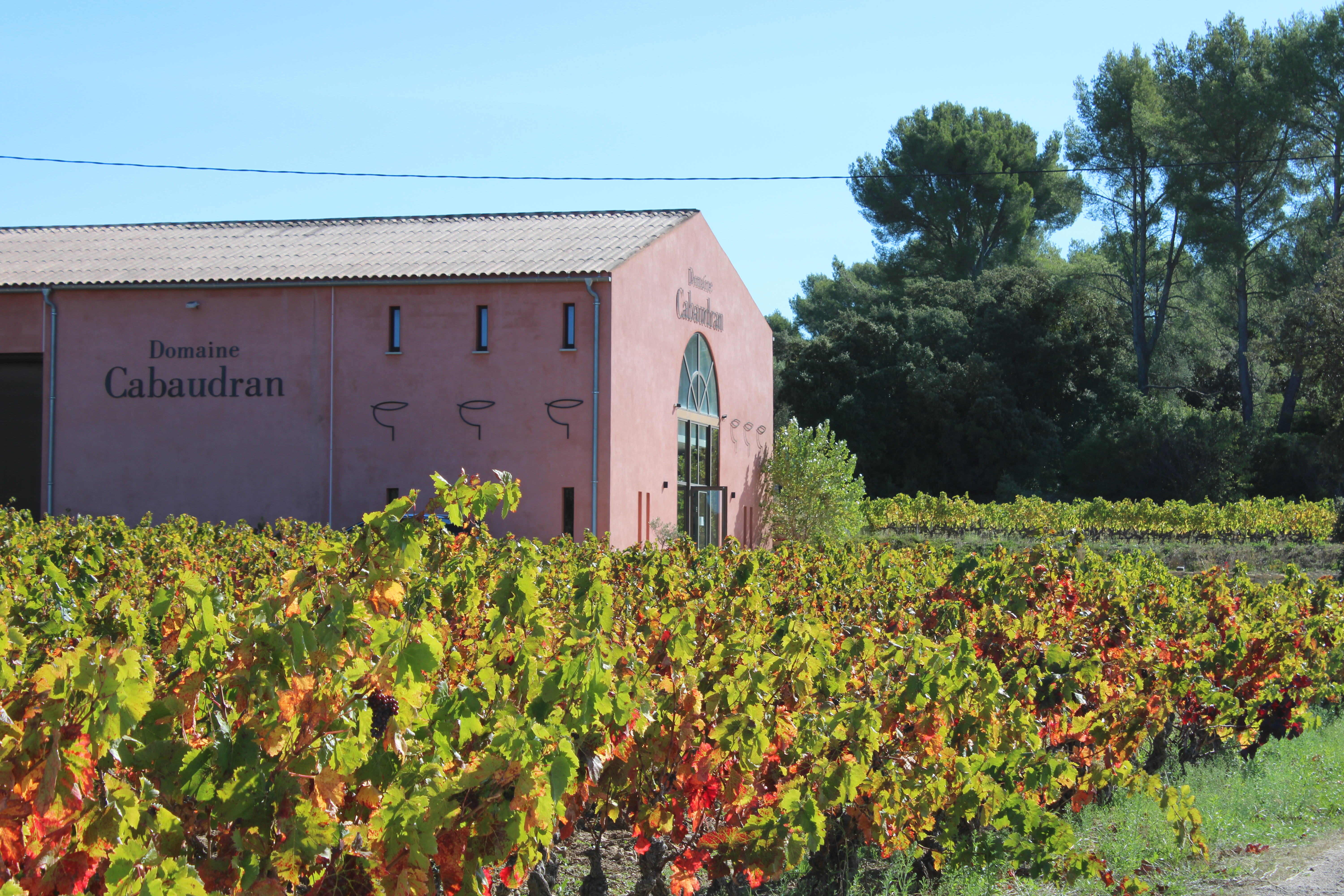 maison-des-vins-a-bandol-1.jpg