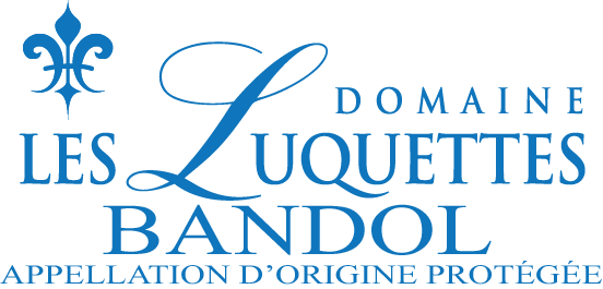 maison-des-vins-a-bandol-3-.jpg