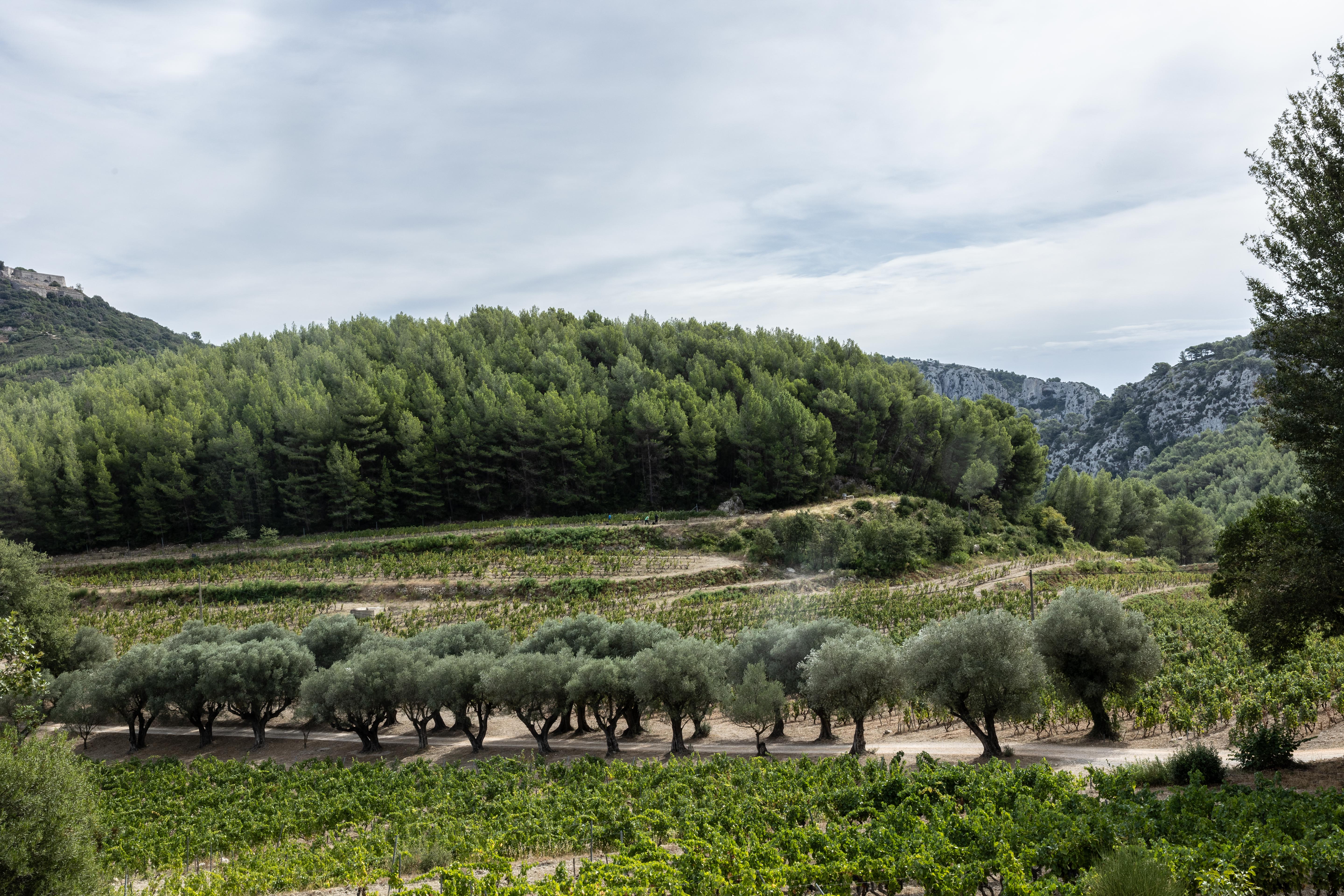 maison-des-vins-a-bandol-1.jpg