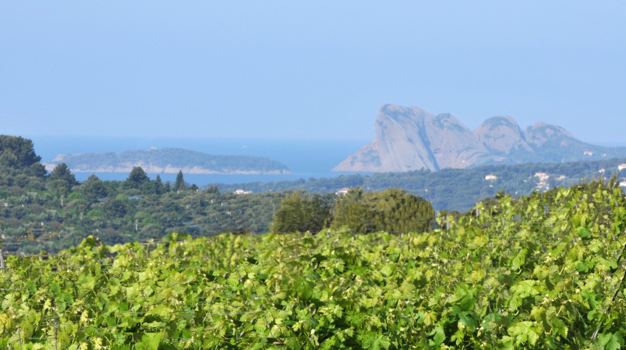 maison-des-vins-a-bandol-1.jpg