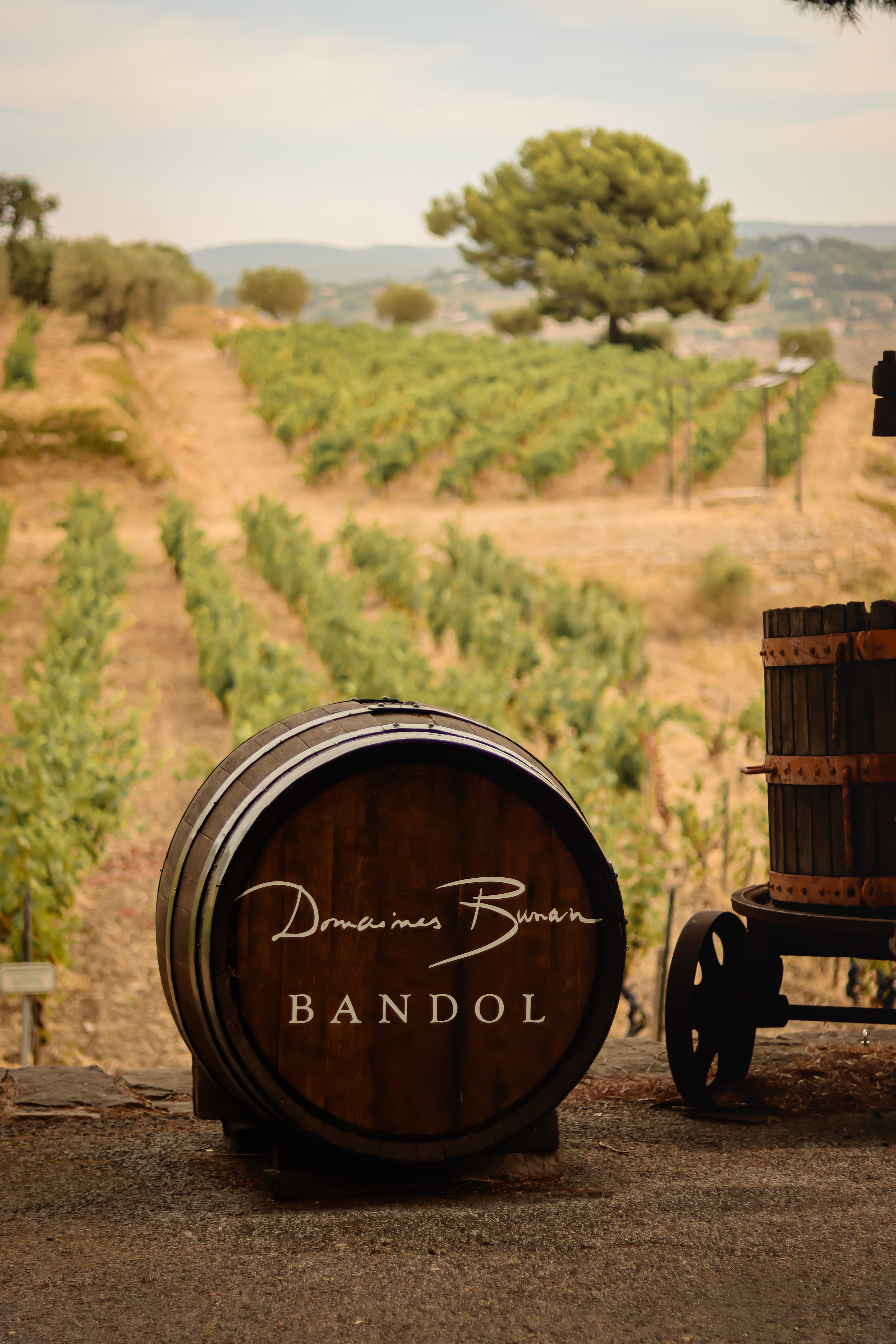 maison-des-vins-a-bandol-1.jpg